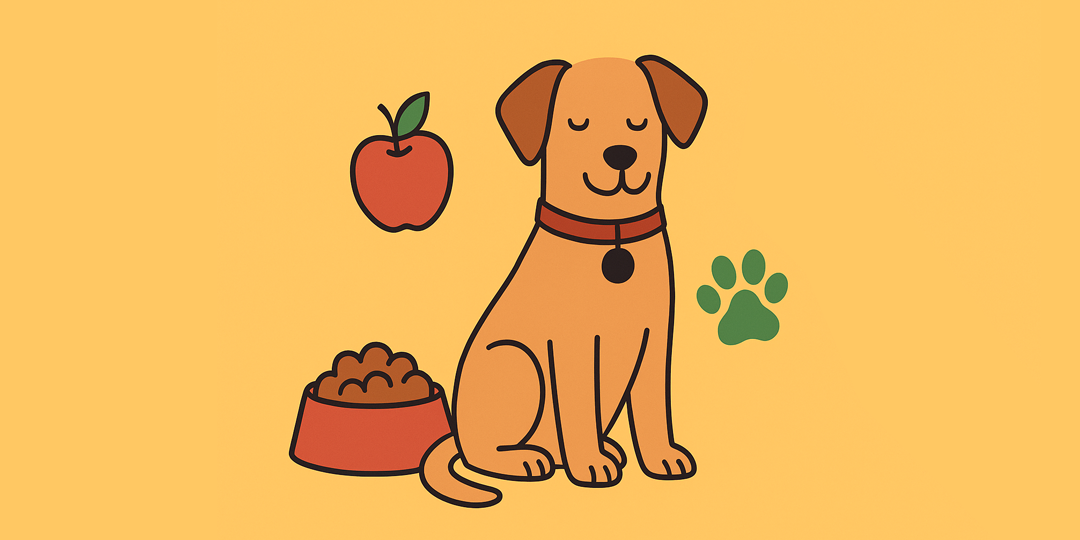 dicas de alimentacao saudavel para pet