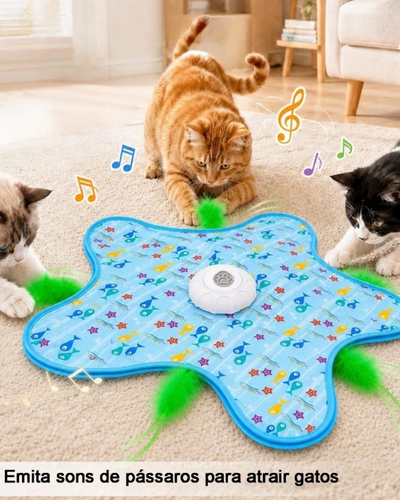 Tapete móvel elétrico azul em formato de estrela com brinquedo para gatos