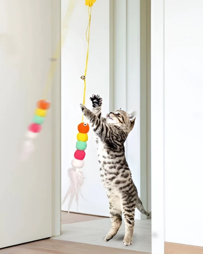 Brinquedo pendente colorido preso no alto de uma porta para gato