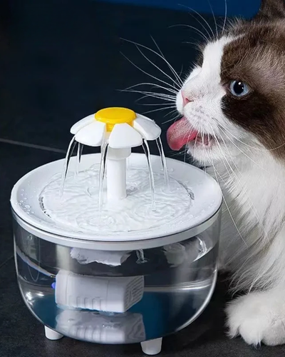 Fonte de &aacute;gua MIW transparente para gatos com bica em formato de flor